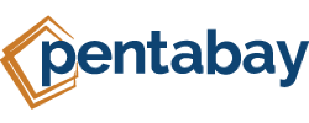 IT Company Partner 33 - Rohil NextGen Placement